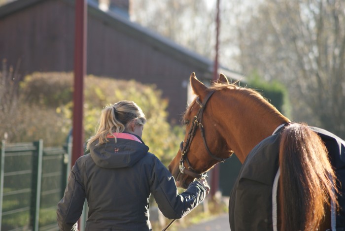 Photo de profil de anne90