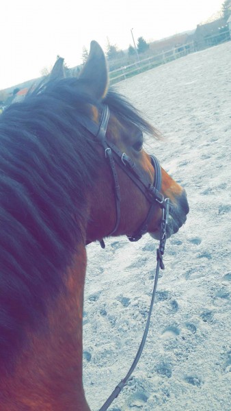 Photo de profil de anneso0103