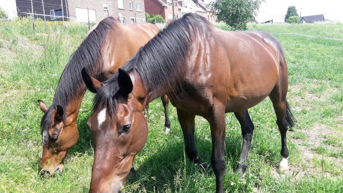 Photo de profil de annethoumire