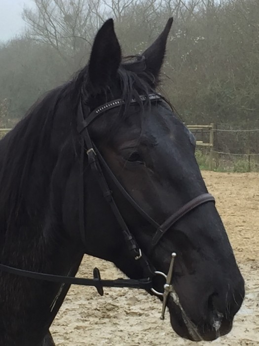 Photo de profil de anso51