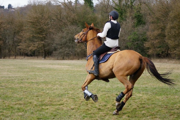 Photo de profil de ariesop