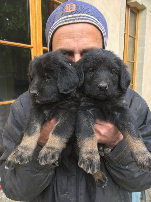 Photo de profil de arnaud1234