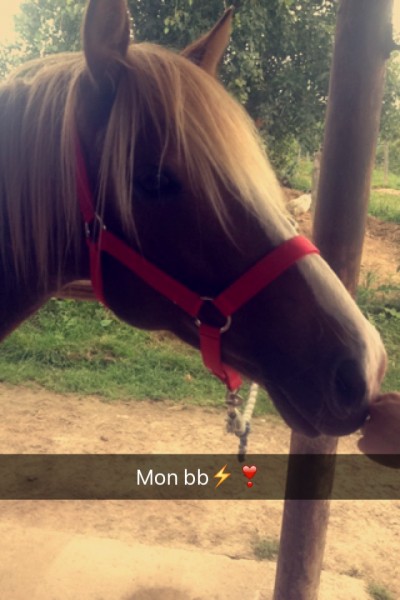 Photo de profil de aroline_vg