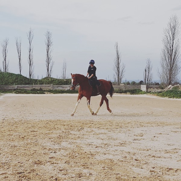Photo de profil de a.rvak