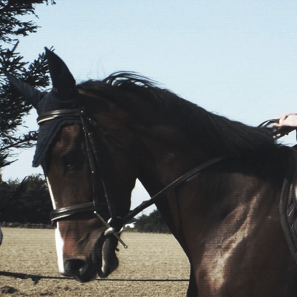 Photo de profil de atara62
