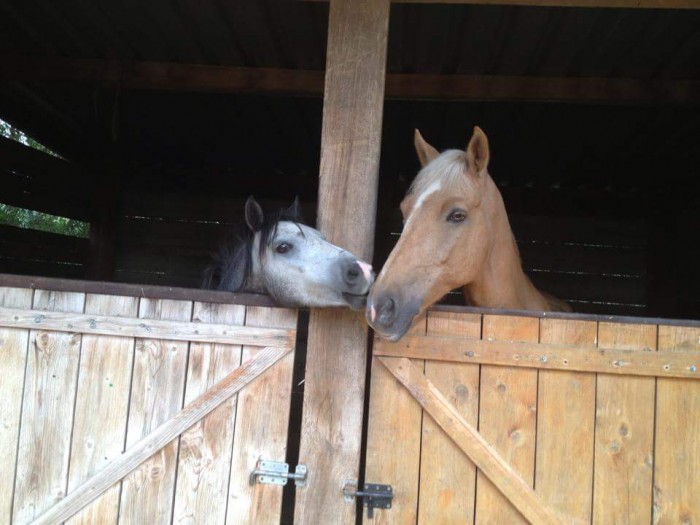 Photo de profil de atarzlle