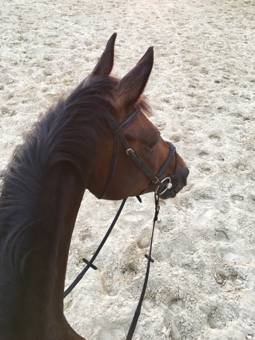 Photo de profil de atif