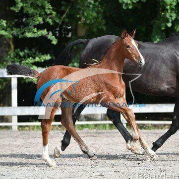 Photo de profil de audreylabasseya