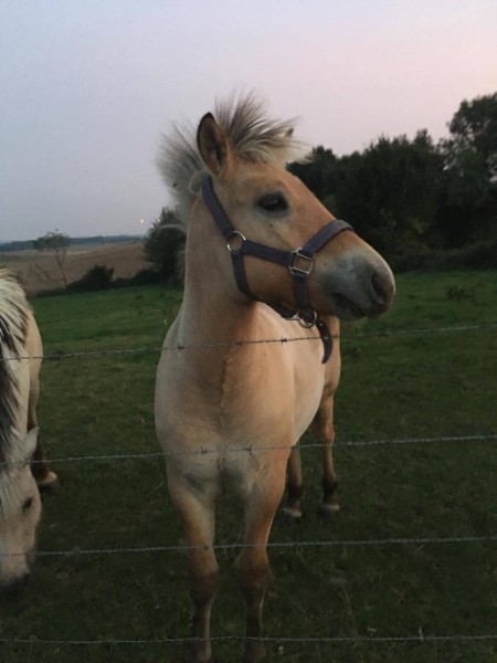 Photo de profil de audreymonneuse