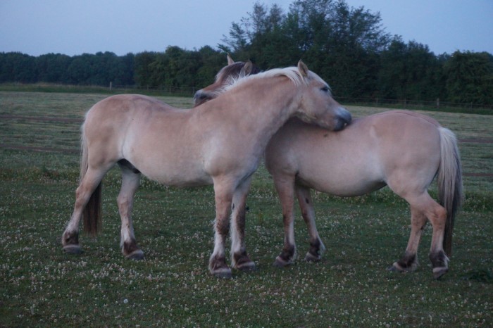 Photo de profil de aunicach80