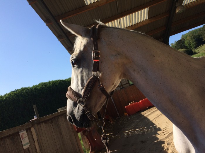 Photo de profil de aurel2538