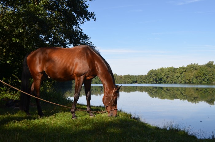 Photo de profil de aurelie_lucky