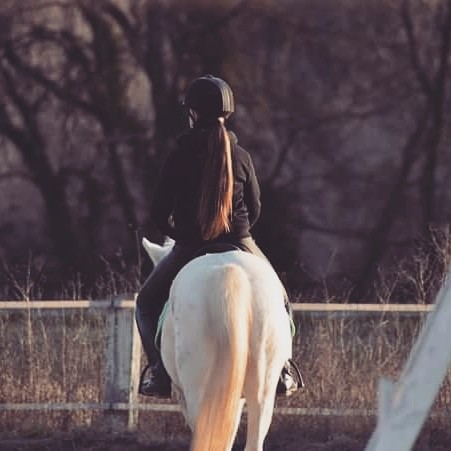 Photo de profil de auriv3