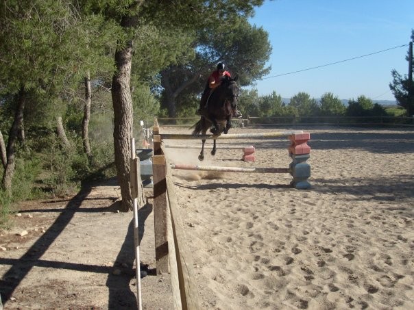 Photo de profil de aurorecro
