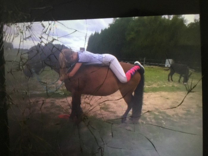 Photo de profil de axellecavalerii