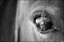 Photo de profil de aydine