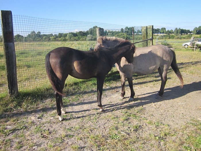 Photo de profil de azad