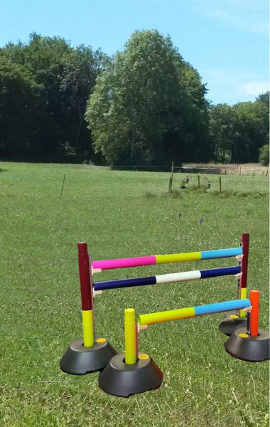 Photo de profil de barnotti