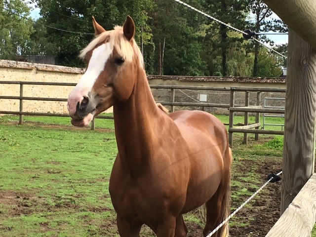 Photo de profil de barrym