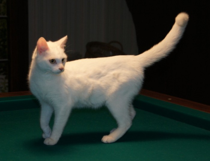 Photo de profil de benedicte45