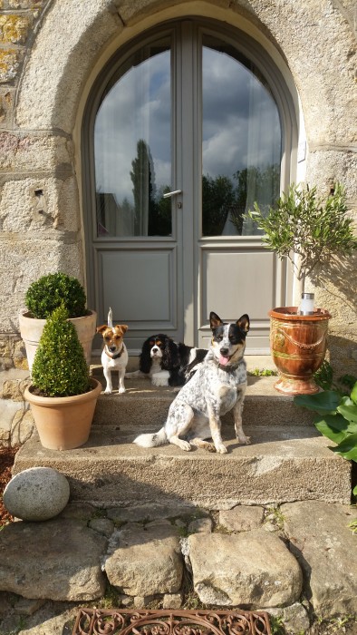 Photo de profil de benoit22170
