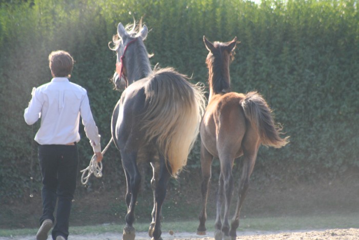 Photo de profil de bernbret