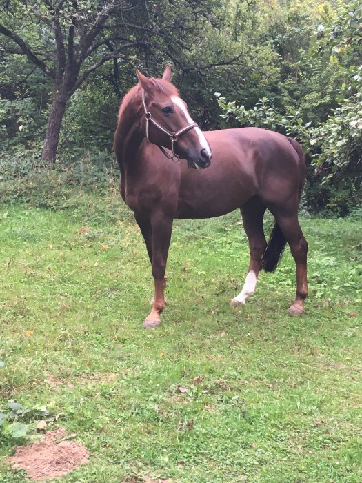 Photo de profil de bertille17