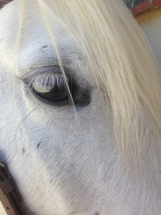 Photo de profil de berulane