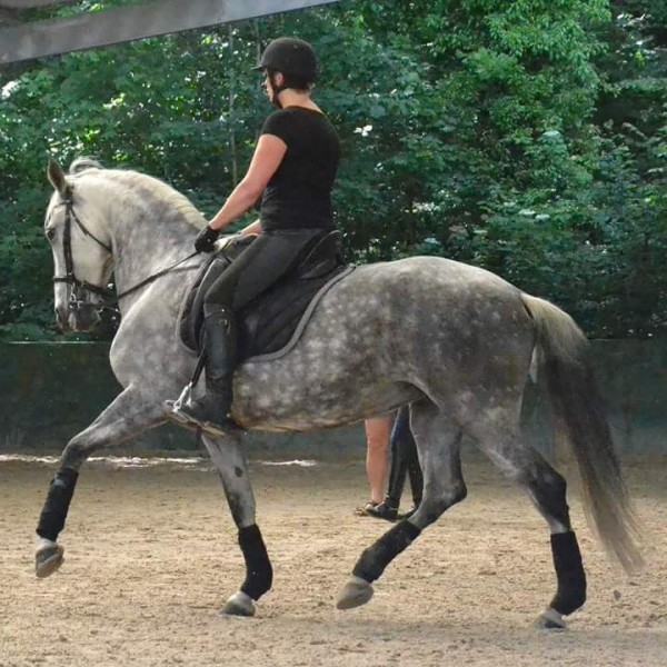 Photo de profil de bexadia