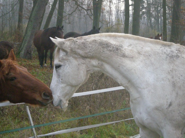 Photo de profil de bianco56