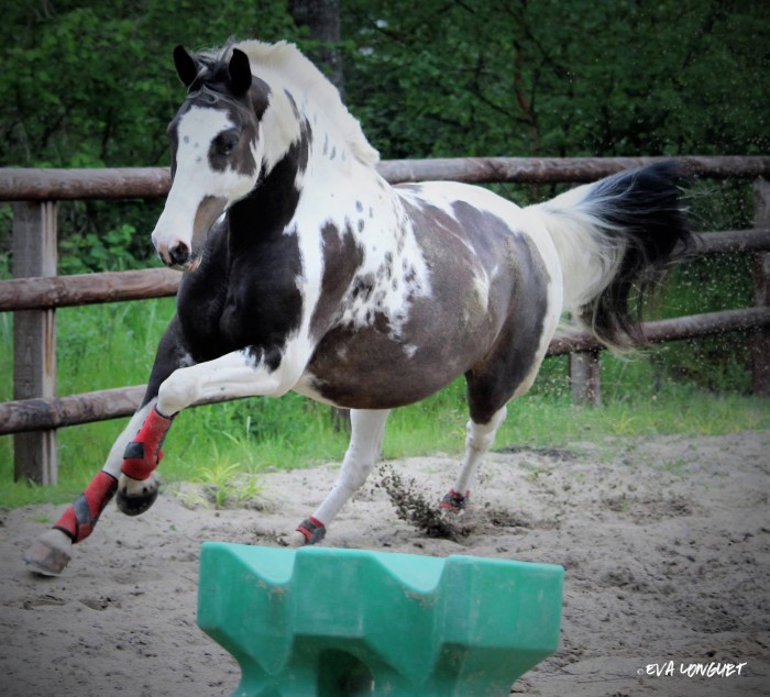 Photo de profil de billymaud