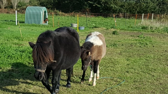 Photo de profil de bladjoam22