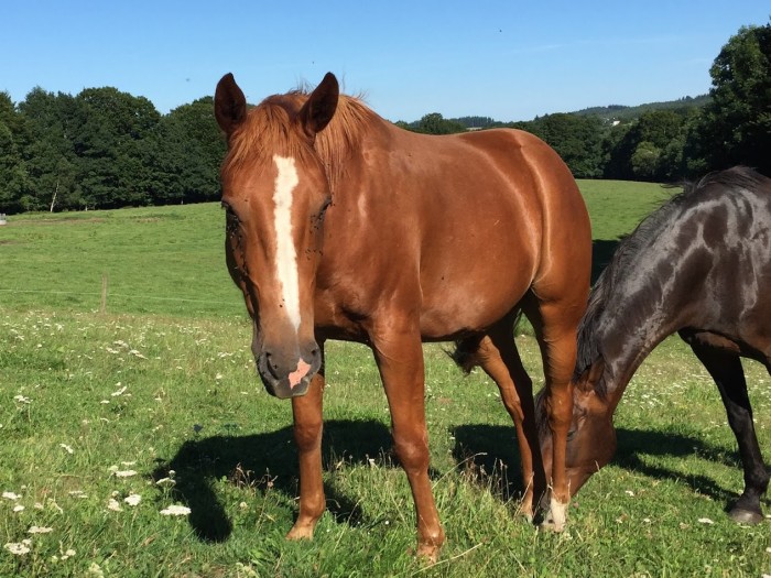 Photo de profil de blan31