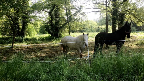 Photo de profil de bodinc