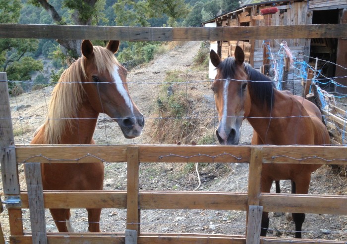 Photo de profil de boni2b