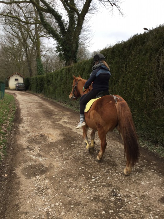 Photo de profil de boubouleponey