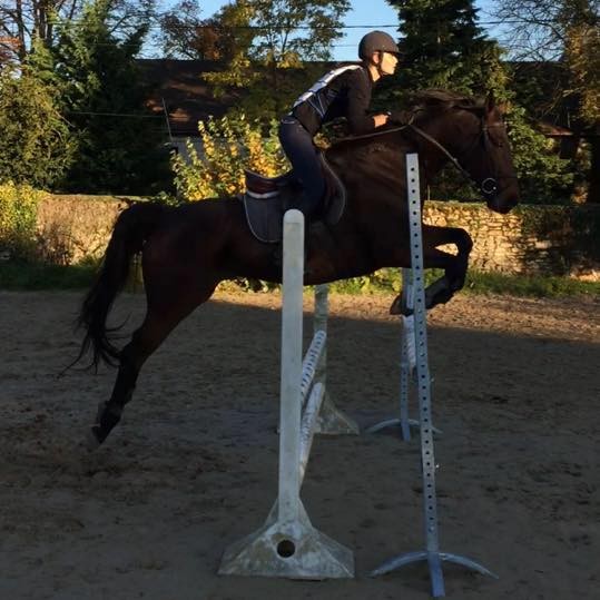 Photo de profil de boubys