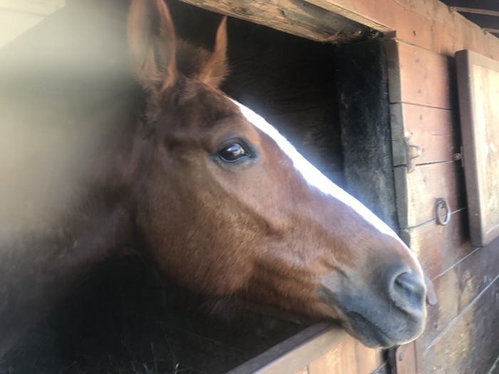 Photo de profil de bourky