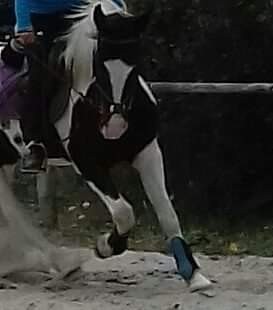 Photo de profil de brunka44