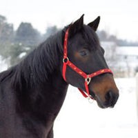 Photo de profil de bygou1809