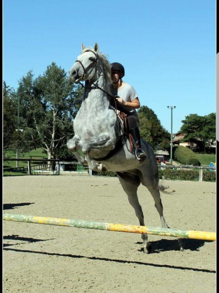 Photo de profil de calipso09100