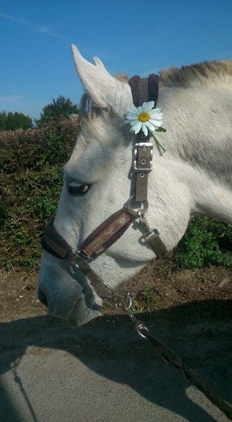 Photo de profil de calvi_du_comte