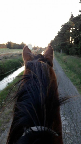 Photo de profil de camillegdx