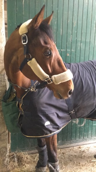 Photo de profil de camillelarc