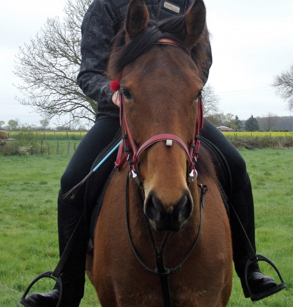 Photo de profil de camlrt