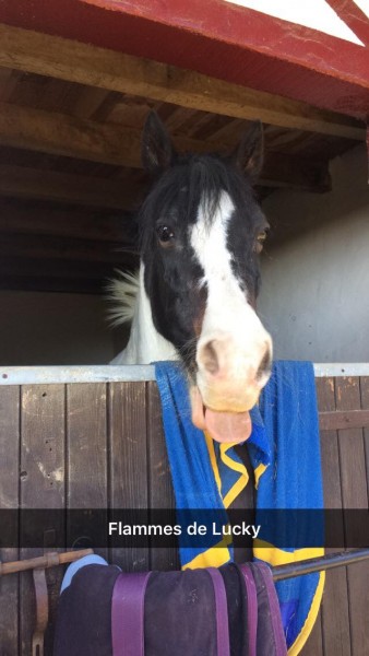 Photo de profil de camydaste