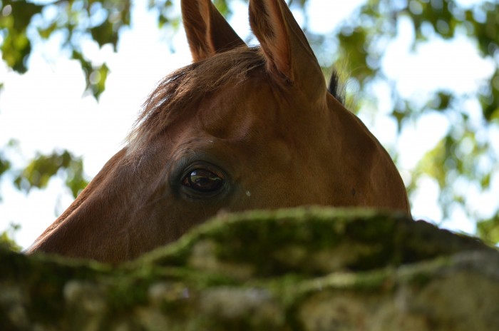 Photo de profil de canel77