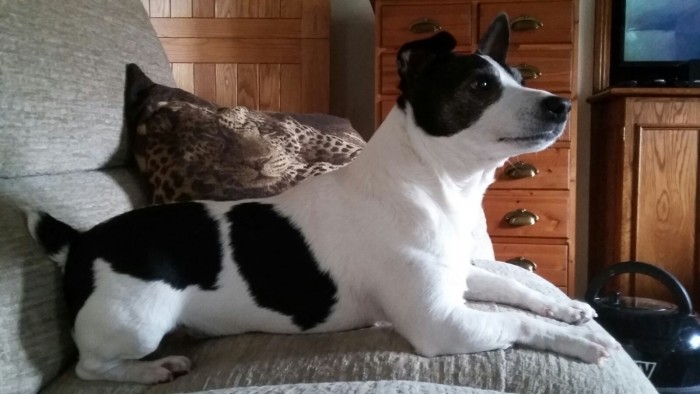 Photo de profil de carelia