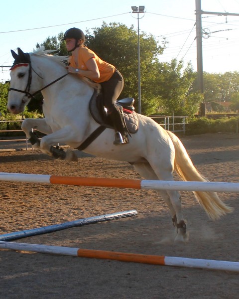 Photo de profil de carla.sartore