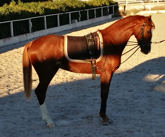 Photo de profil de carolinablasco